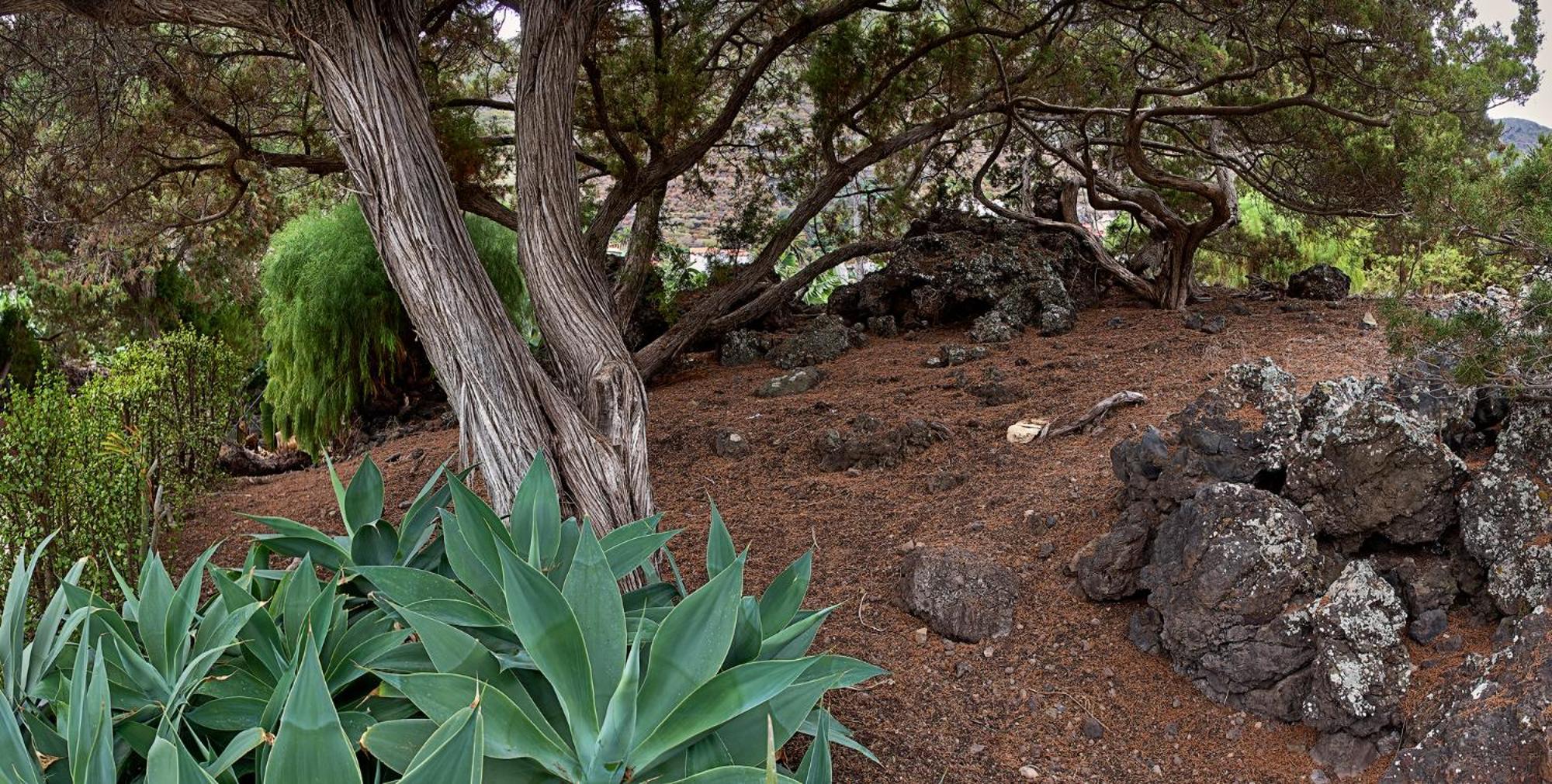 Las Sabinas Villa - El Guincho, Garachico ガラチコ エクステリア 写真