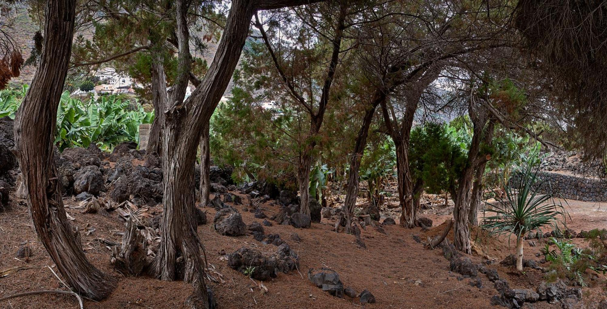 Las Sabinas Villa - El Guincho, Garachico ガラチコ エクステリア 写真